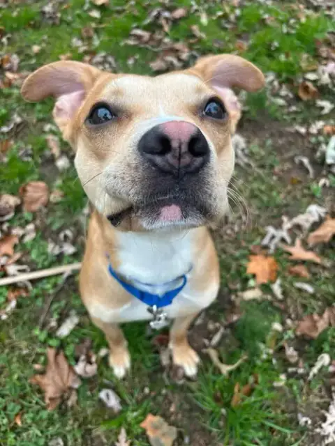 Tank