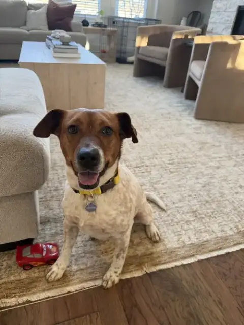 Johnny
