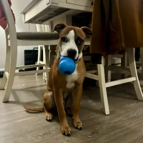 Parker