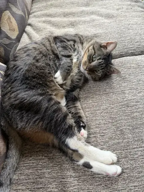 Smokey photo 2