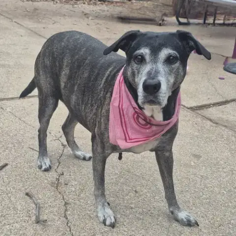 Zoey Xi