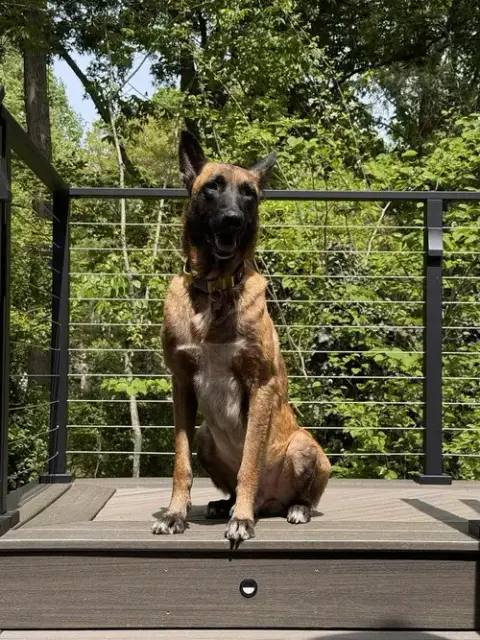 Shiloh Located In Nc