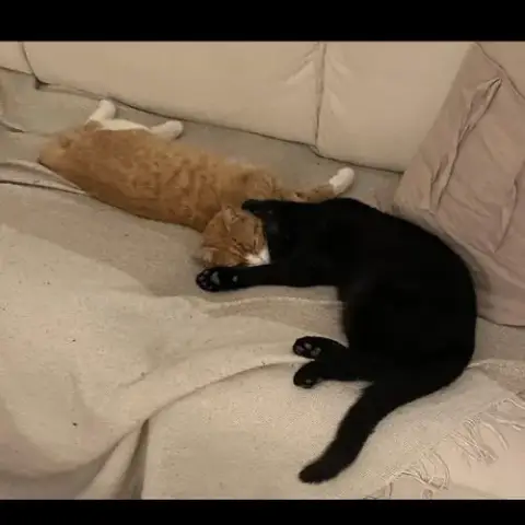 Cacio & Pepe photo 2