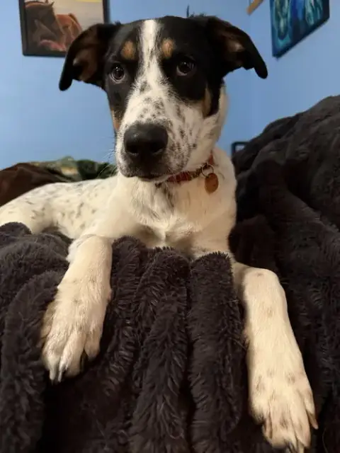 **Teagan**