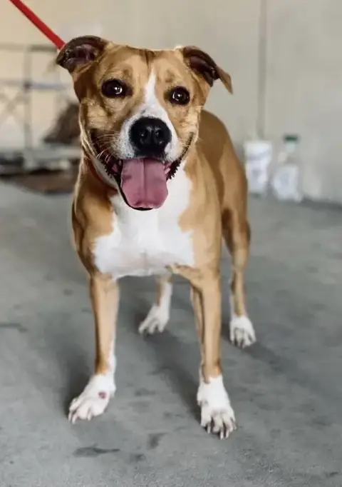 Lucy