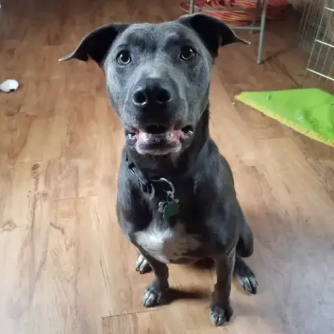 Tucker photo 5