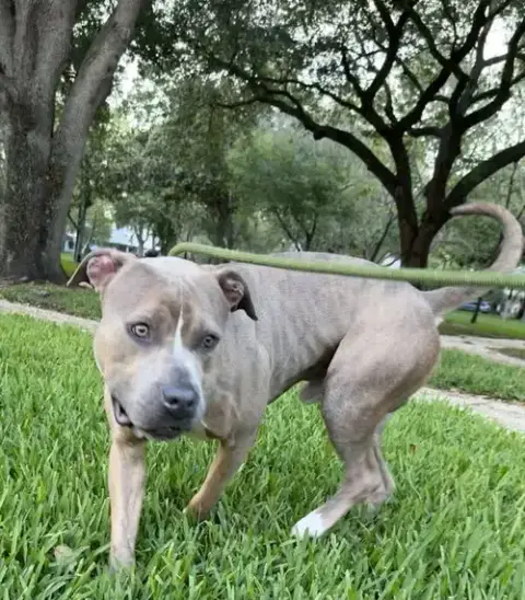 Ralph photo 2
