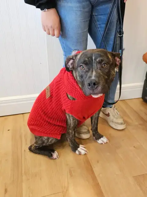 Timmy photo 3