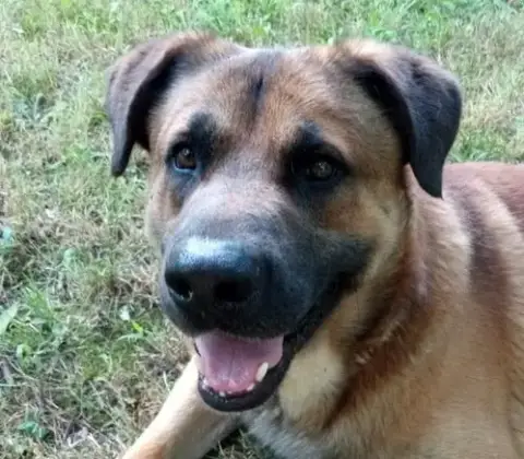 Ranger photo 2