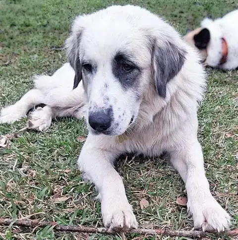 Maggie In La photo 3