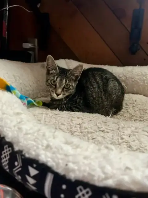 Meg photo 3