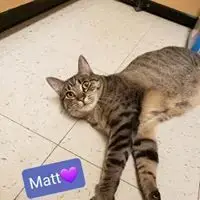 Matt photo 3