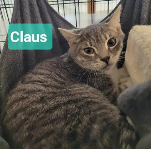 Claus