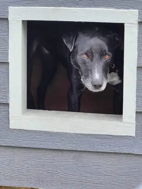 Charlie photo 2