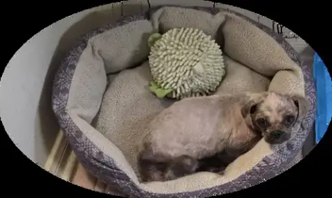 Spike photo 2
