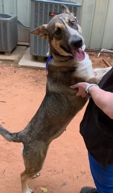 Nala photo 4