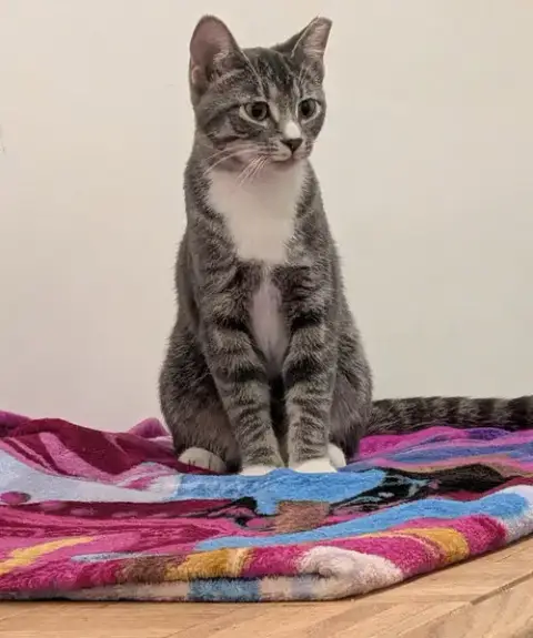 Karma photo 4
