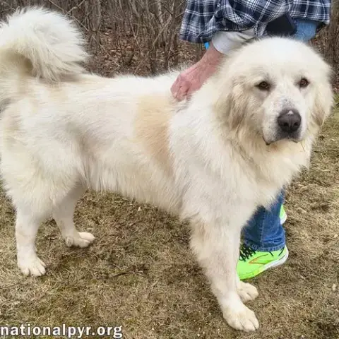 Max In Ct photo 2
