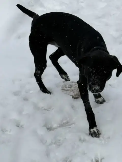 Zeus photo 4