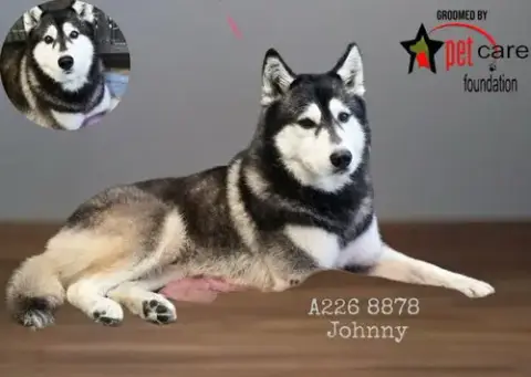 Johnny