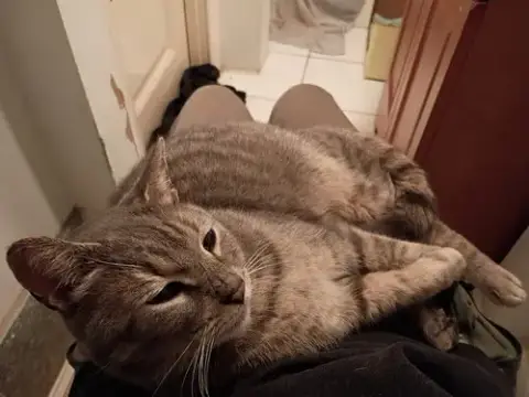 Snuggs photo 3