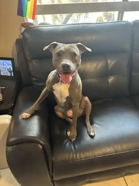 Penny
