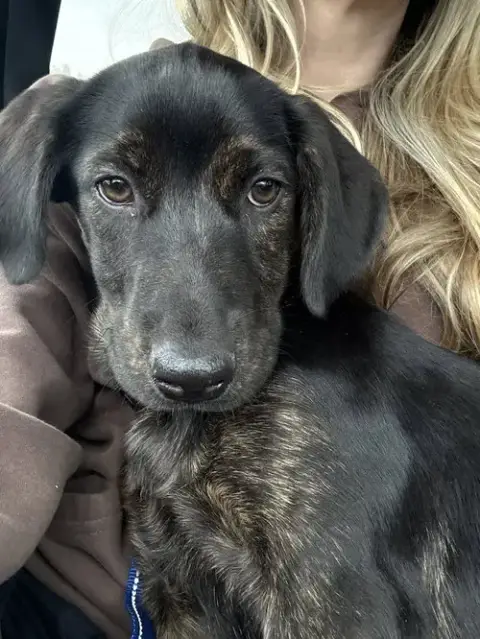 Dora photo 2