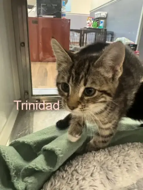 Trinidad