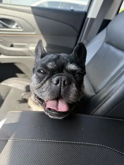 Millie