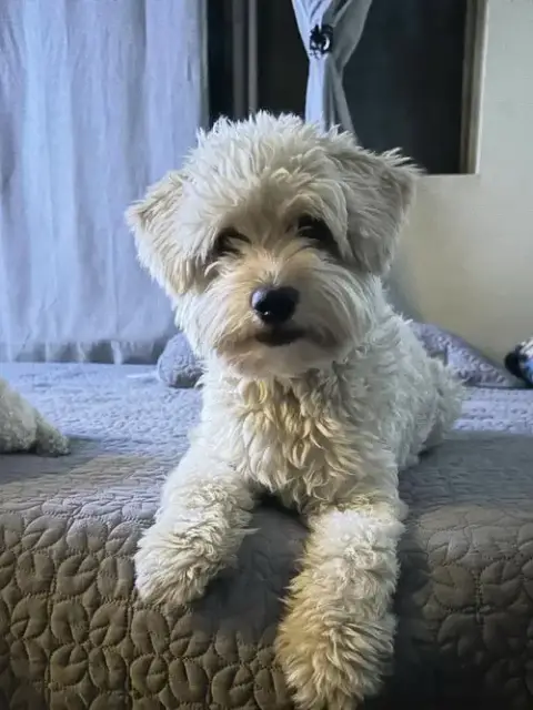 Tucker