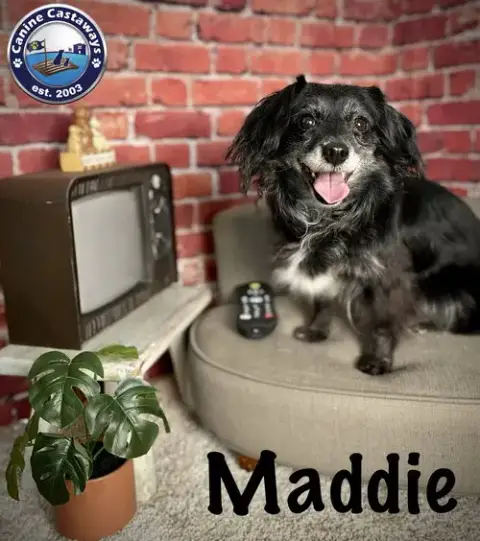 Maddie
