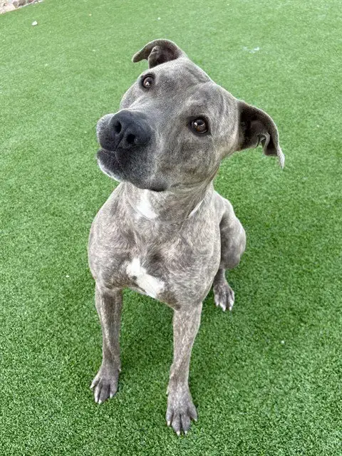 Blu