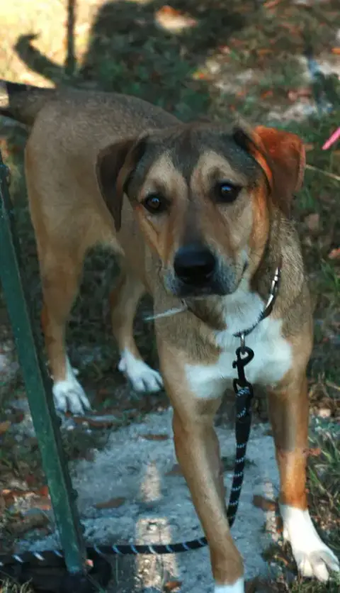 Nora photo 4