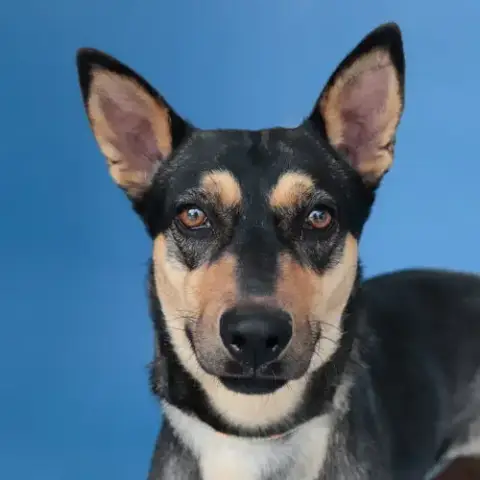 Frida