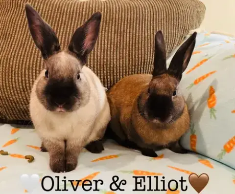 Oliver