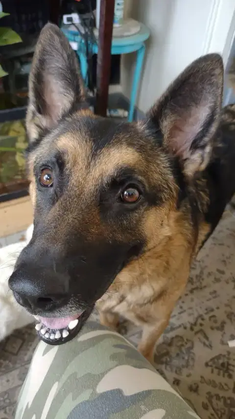 Doug photo 3