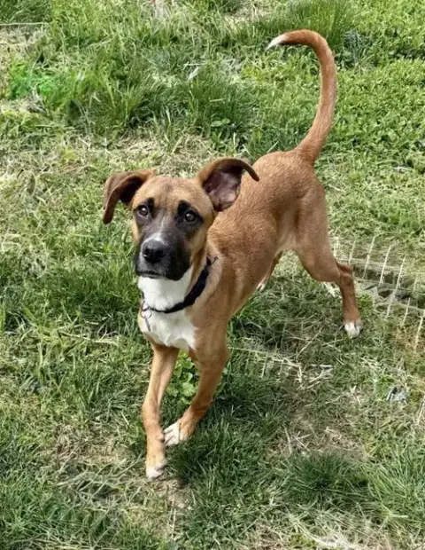 Willow photo 3