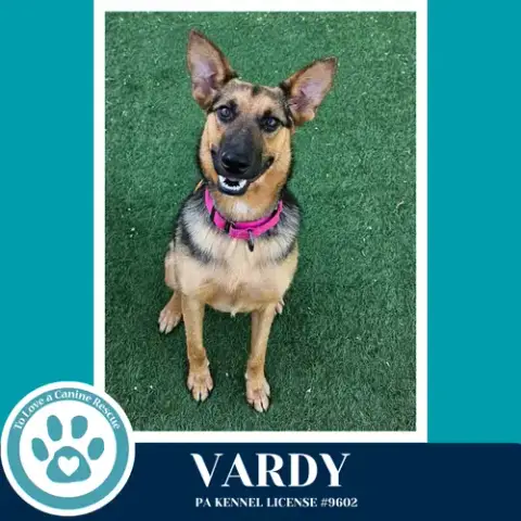 Vardy 041826