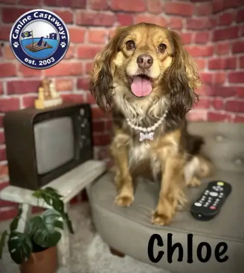 Chloe