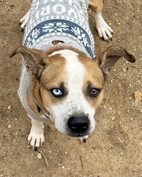 Zeus photo 2