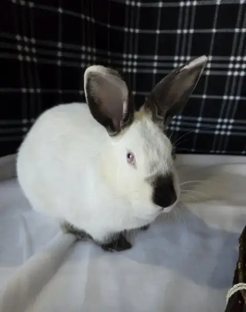 Lottie photo 3
