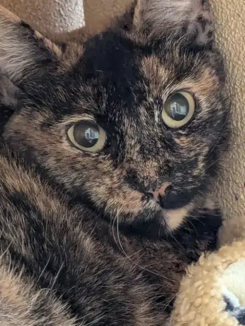 Marmie photo 3