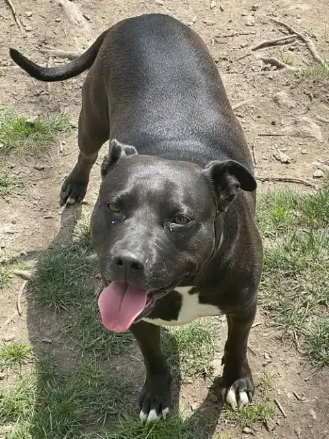 Tootsie photo 4