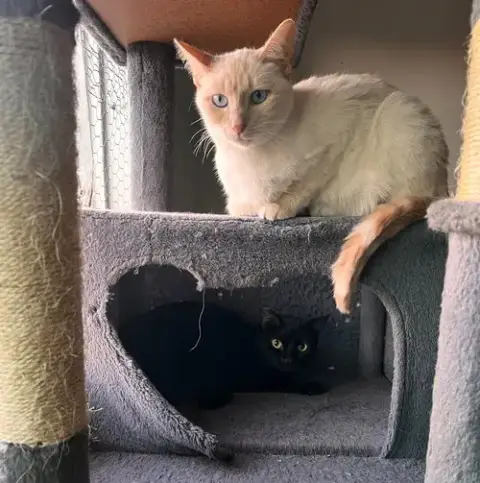 Lucky photo 4