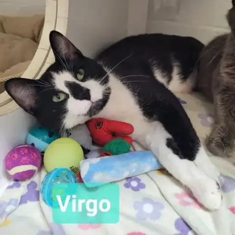 Virgo