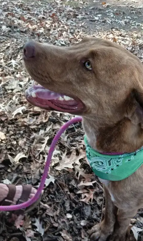 Tucker photo 3