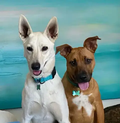 Gracie Mae photo 4