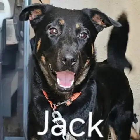 Jackson photo 2