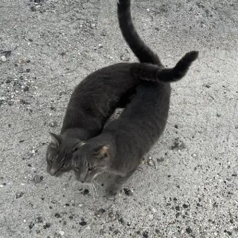 Lloyd & Larry photo 2