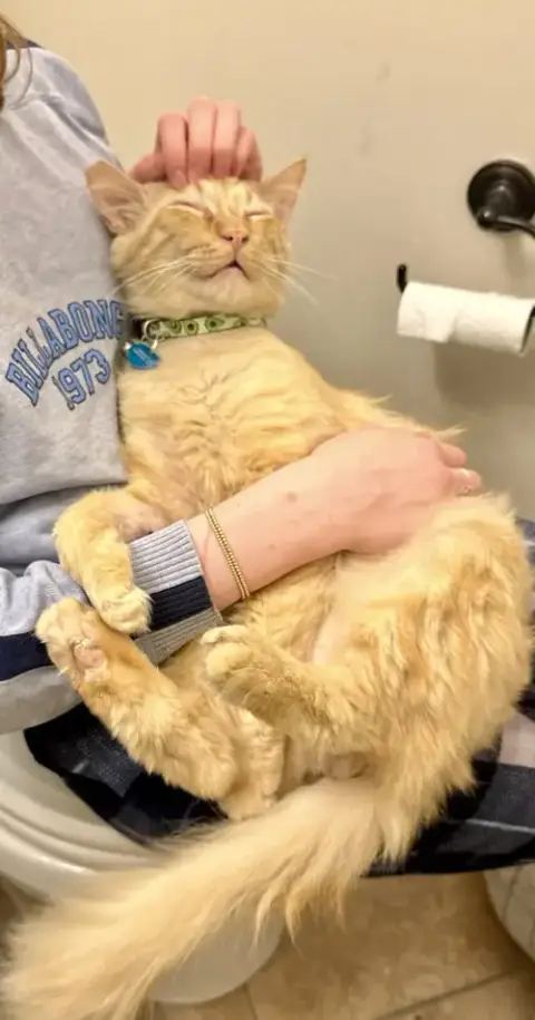 Adopter Smiley
